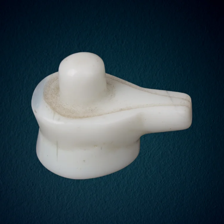 MILKY WHITE SHIVLING